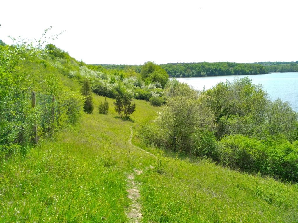 Les gardiens du lac CDC du Bazadais