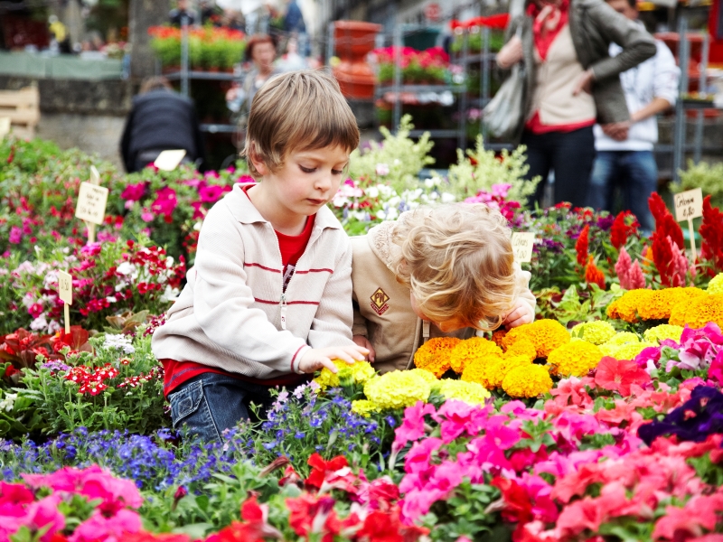 Marché aux fleurs de Bazas CDC du Bazadais