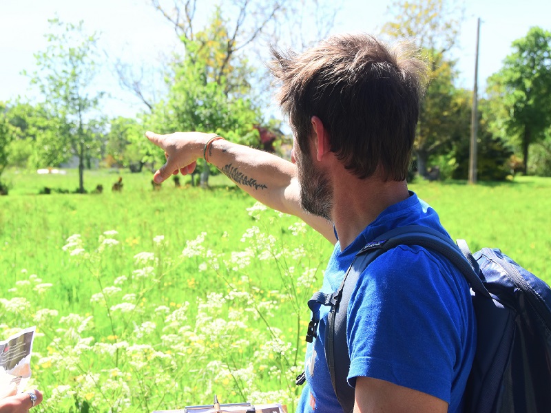 Escape game nature au lac de la Prade CDC du Bazadais