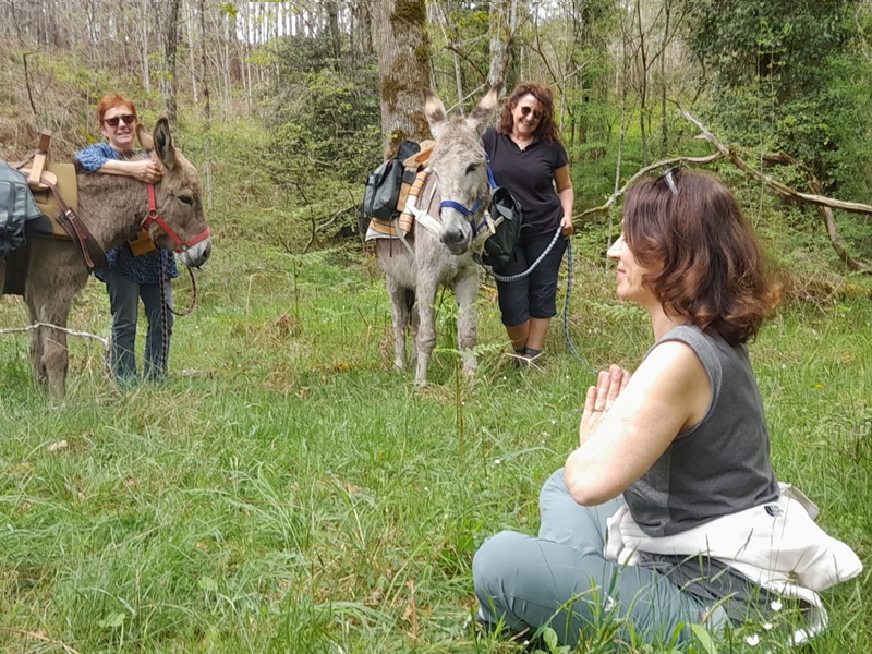 Yog'Ânes CDC du Bazadais