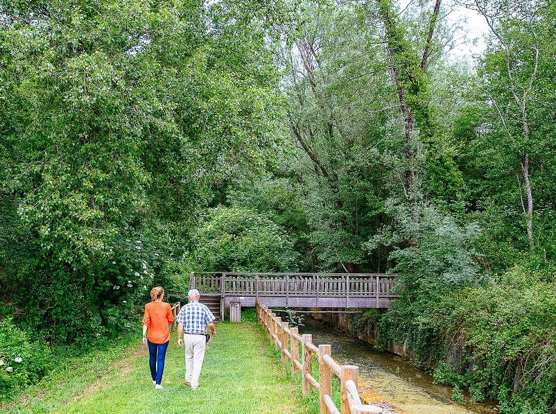 Fête de Gans CDC du Bazadais Fête de Gans CDC du Bazadais