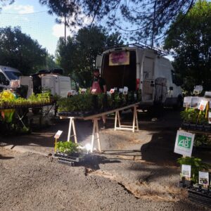 Nati Plant CDC du Bazadais Nati Plant CDC du Bazadais