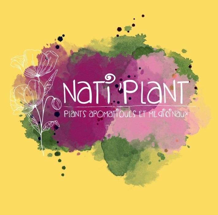Nati Plant CDC du Bazadais Nati Plant CDC du Bazadais