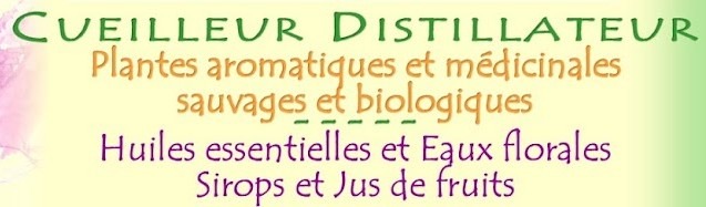 Yohan Musseau CDC du Bazadais Yohan Musseau CDC du Bazadais
