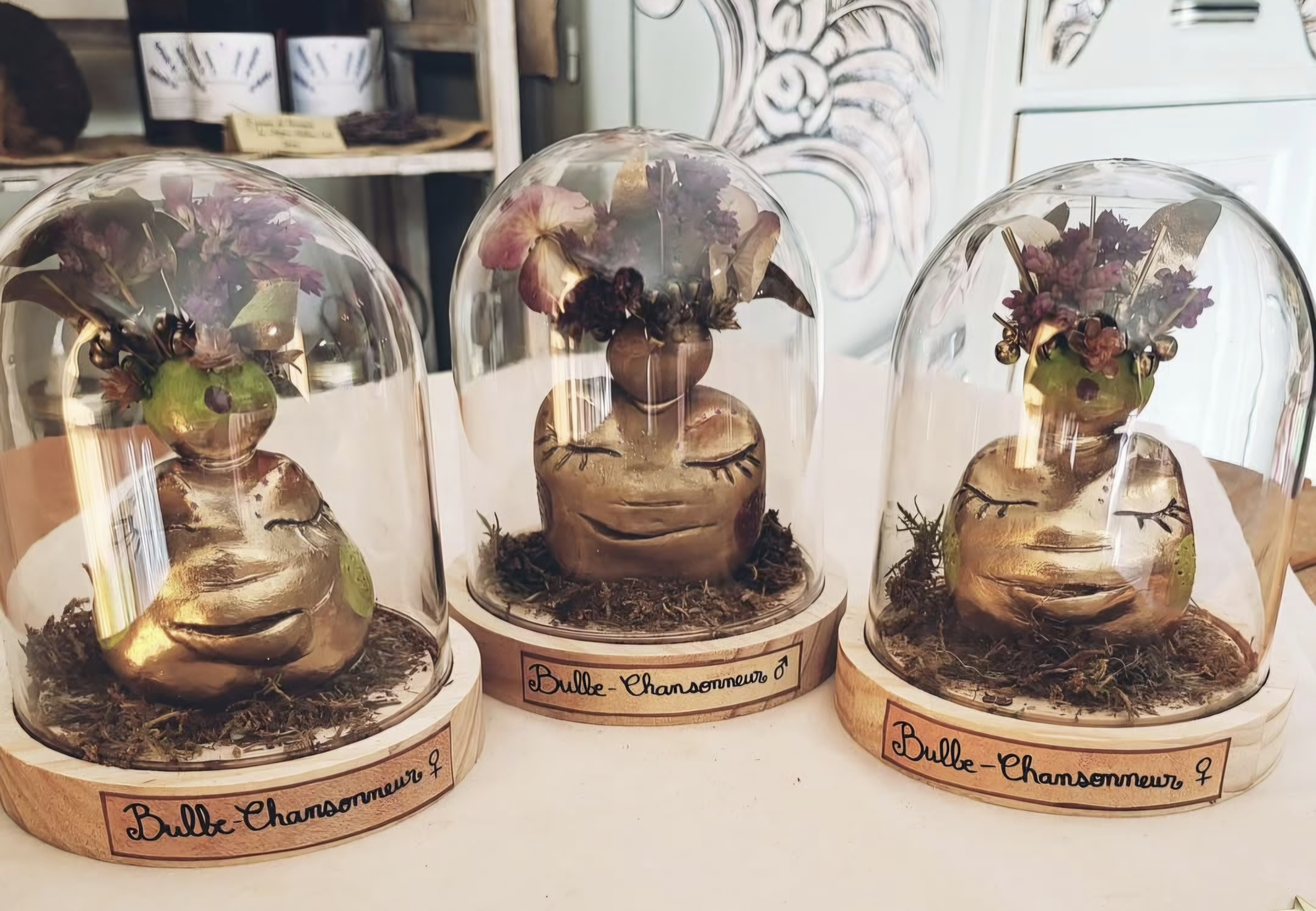 Quiz officiel Gallimard - La nuit des livres Harry Potter CDC du Bazadais