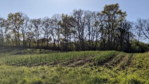 La Cie Boulette CDC du Bazadais