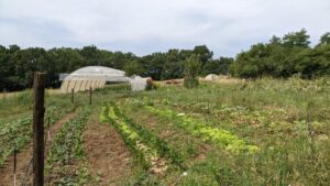 La Cie Boulette CDC du Bazadais