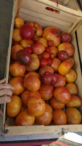 La Cie Boulette CDC du Bazadais