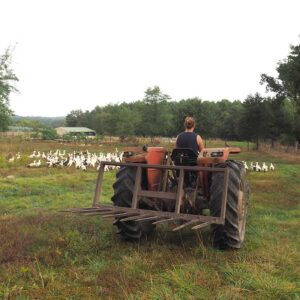 Ferme du Petit Casse CDC du Bazadais