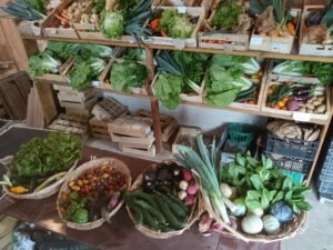 GAEC Ferme Laporte CDC du Bazadais