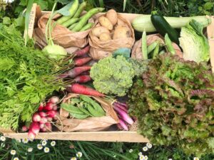 Les Jardins de Saubin CDC du Bazadais