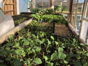 Les Jardins de Saubin CDC du Bazadais