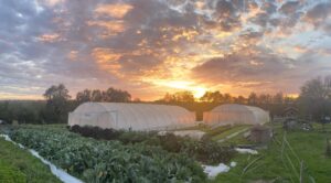 Les Jardins de Saubin CDC du Bazadais