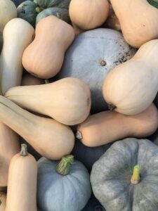 Les Jardins de Saubin CDC du Bazadais