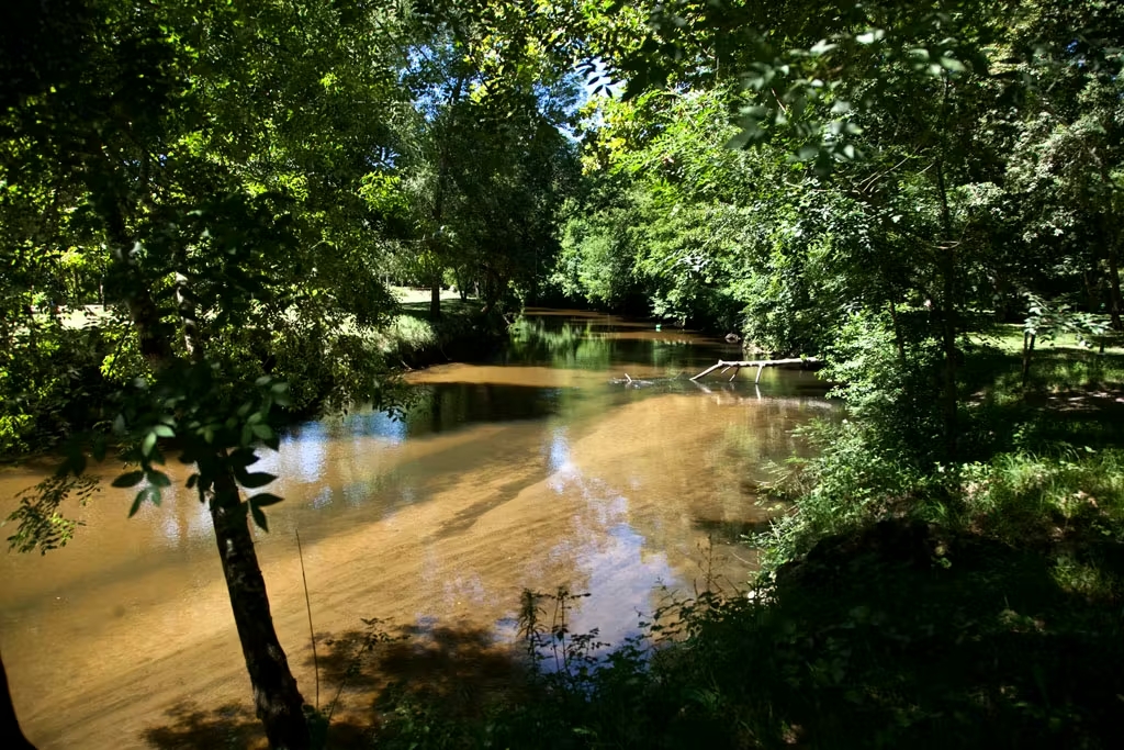 Projection d'un film pour enfant - Au fil de l'eau CDC du Bazadais Projection d'un film pour enfant - Au fil de l'eau CDC du Bazadais