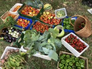 Le Jardin de la Marmitte Renversée CDC du Bazadais