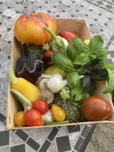 Le Jardin de la Marmitte Renversée CDC du Bazadais