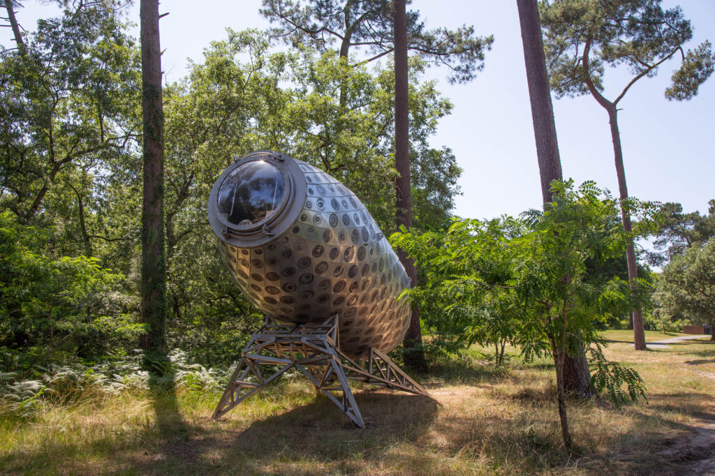 Sous les étoiles, randonnée naturaliste et artistique en forêt CDC du Bazadais