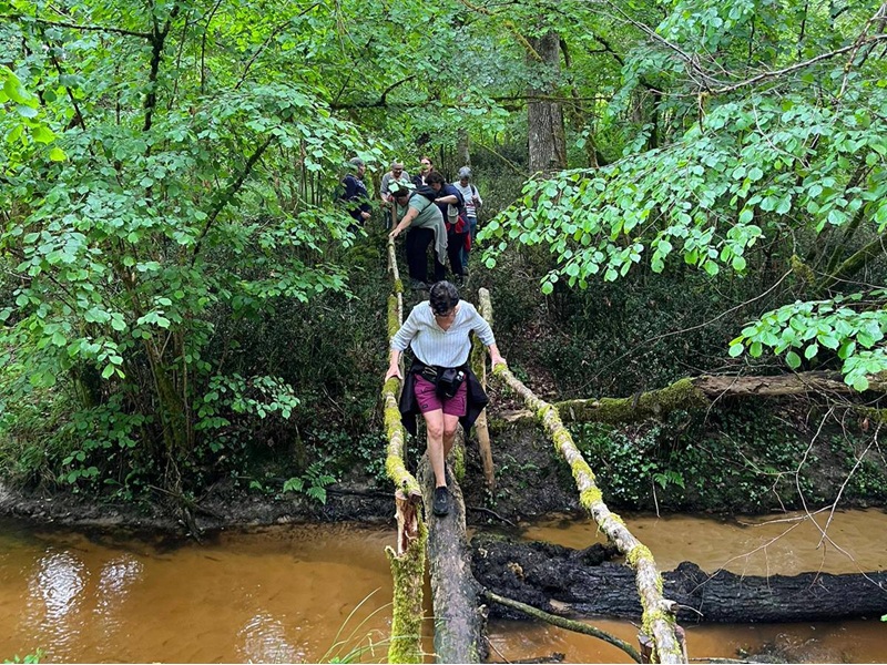 La Goualadaise courses natures CDC du Bazadais