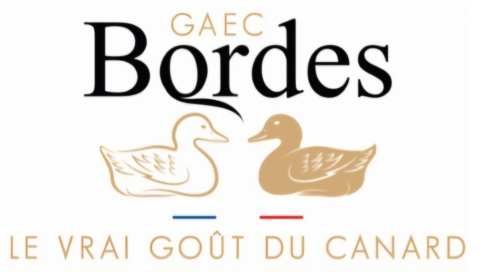 GAEC Bordes CDC du Bazadais