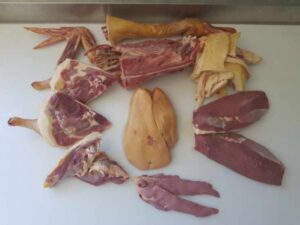 GAEC Bordes CDC du Bazadais
