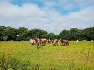 La ferme de Sainte-Croix CDC du Bazadais