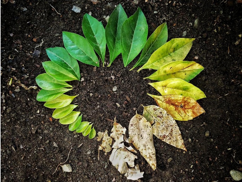 Atelier DIY 100% nature CDC du Bazadais
