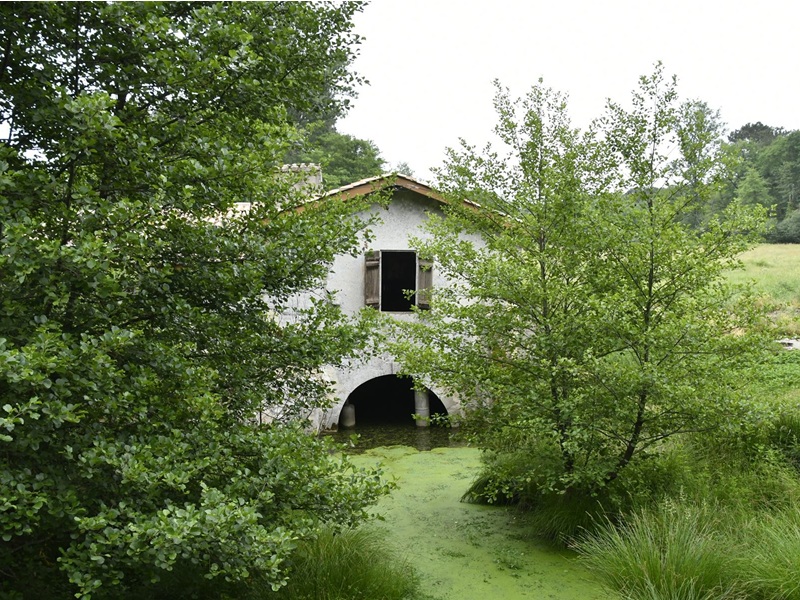 Le Moulin de Musset - Journée du patrimoine CDC du Bazadais